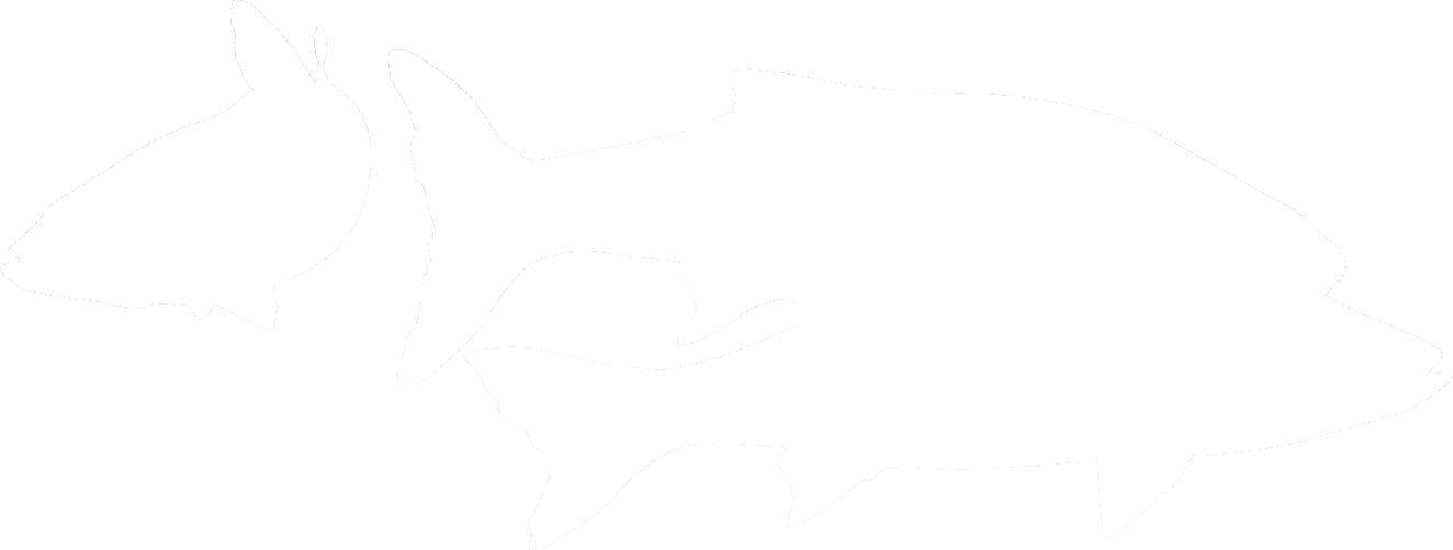 poissons