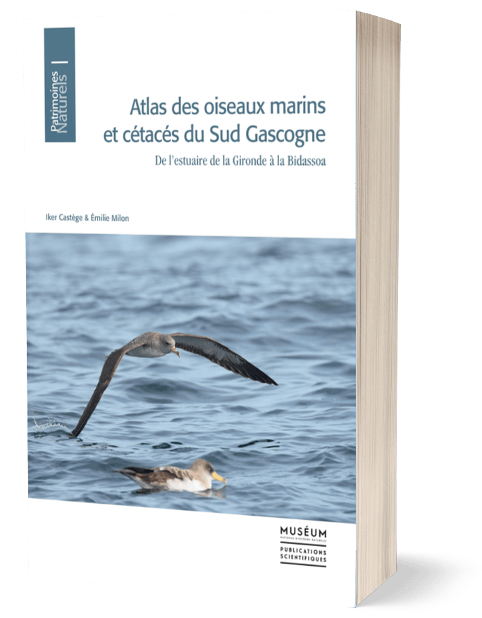 Atlas des oiseaux marins et cétacés du Sud Gascogne