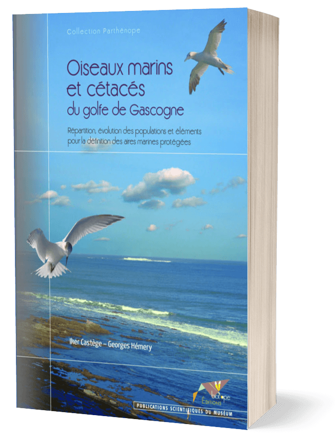 Oiseaux marins et cétacés du golfe de Gascogne