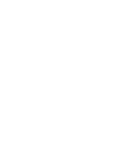 mouette