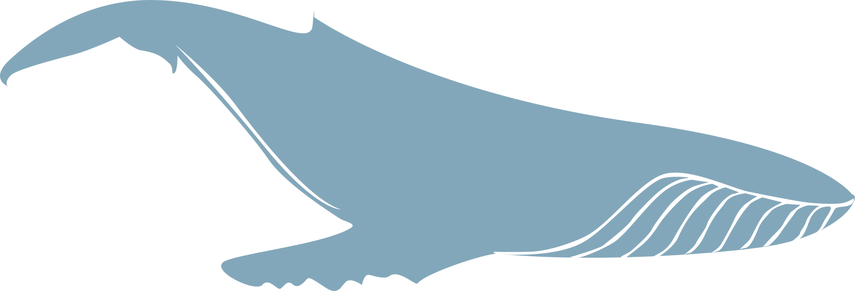 baleine